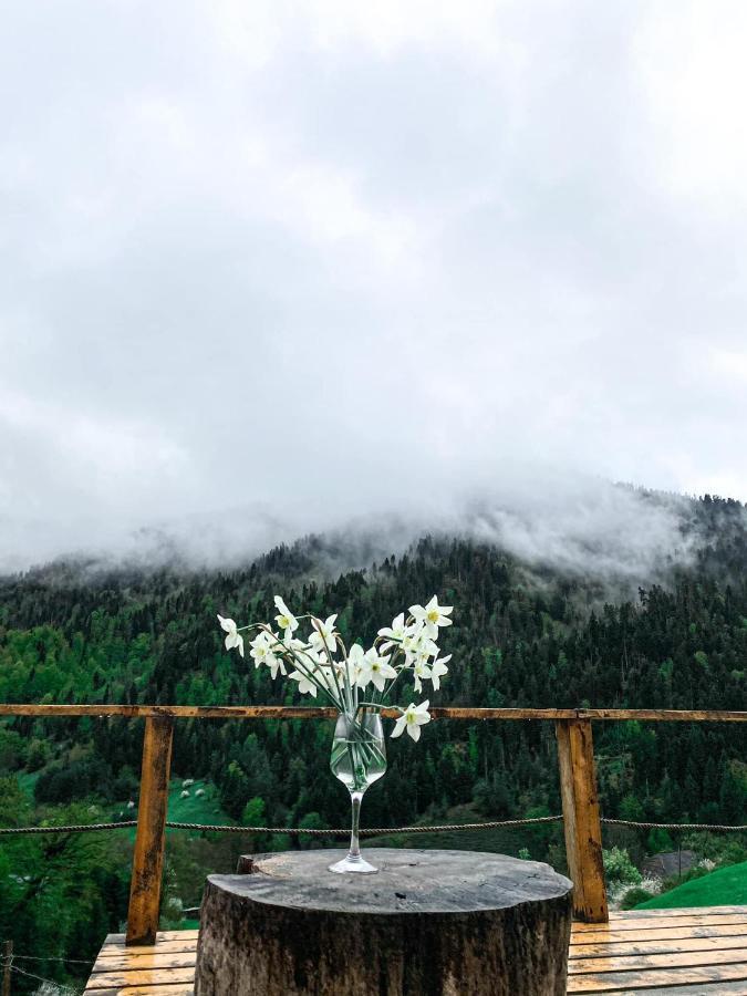 Mitarbi Silence - Cozy Holiday Cottages In Mountains Боржоми Екстериор снимка