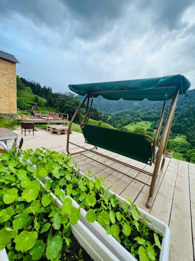 Mitarbi Silence - Cozy Holiday Cottages In Mountains Боржоми Екстериор снимка