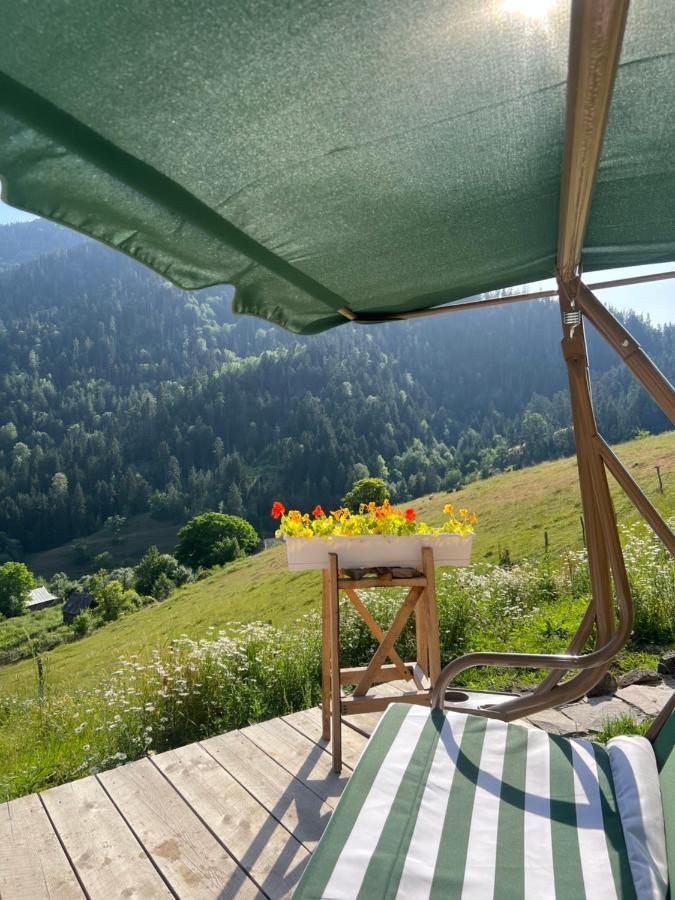 Mitarbi Silence - Cozy Holiday Cottages In Mountains Боржоми Екстериор снимка