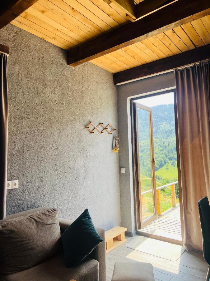 Mitarbi Silence - Cozy Holiday Cottages In Mountains Боржоми Екстериор снимка