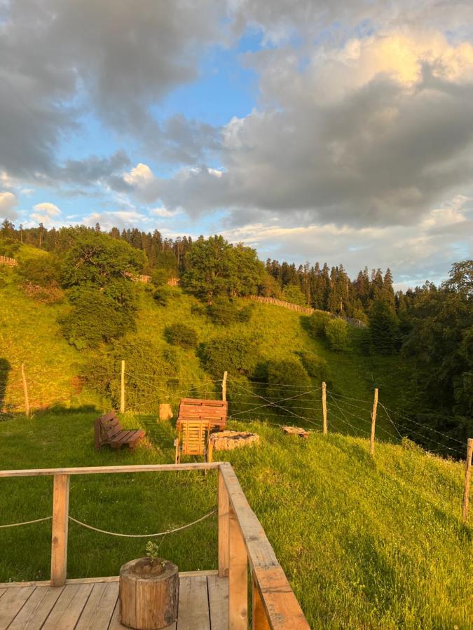 Mitarbi Silence - Cozy Holiday Cottages In Mountains Боржоми Екстериор снимка